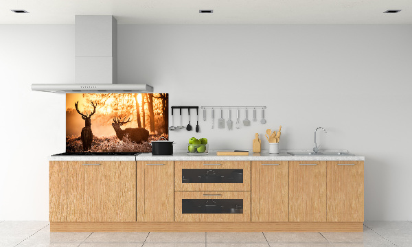 Glazen achterwand keuken Herten zonsopgang