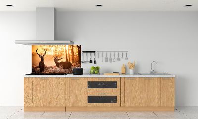 Glazen achterwand keuken Herten zonsopgang