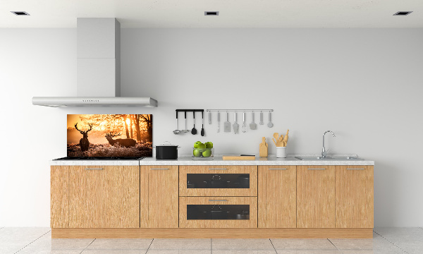 Glazen achterwand keuken Herten zonsopgang