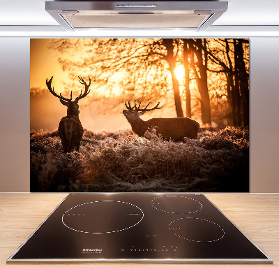Glazen achterwand keuken Herten zonsopgang