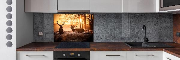 Glazen achterwand keuken Herten zonsopgang