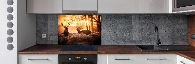 Glazen achterwand keuken Herten zonsopgang