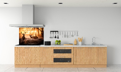 Glazen achterwand keuken Herten zonsopgang