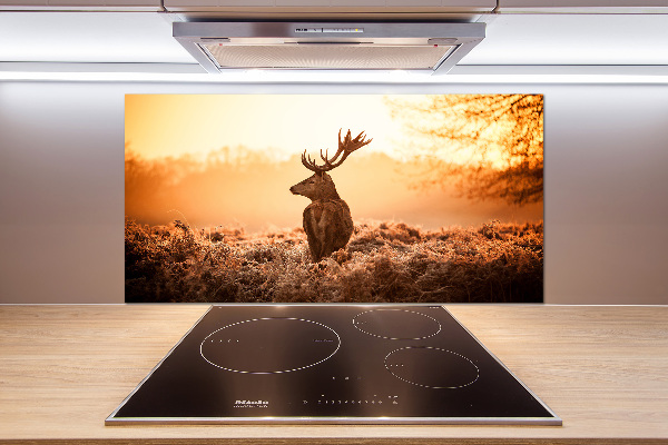 Achterwand keuken Herten zonsopgang