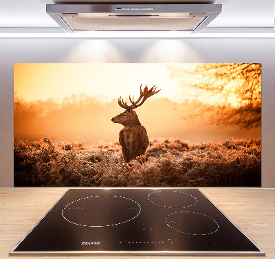 Achterwand keuken Herten zonsopgang