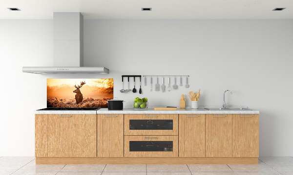 Achterwand keuken Herten zonsopgang