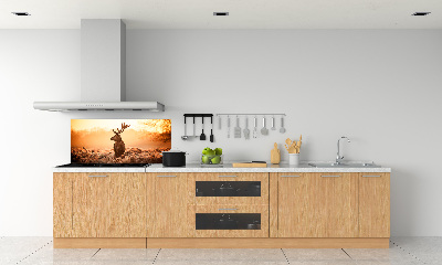 Achterwand keuken Herten zonsopgang