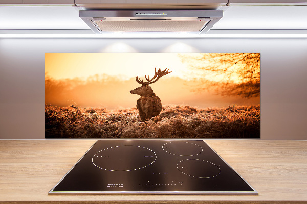 Achterwand keuken Herten zonsopgang