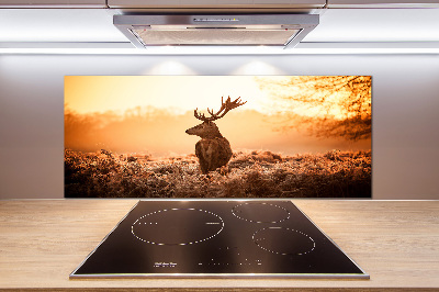 Achterwand keuken Herten zonsopgang