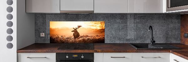 Achterwand keuken Herten zonsopgang