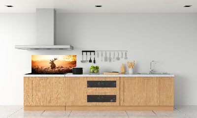 Achterwand keuken Herten zonsopgang