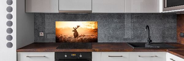 Achterwand keuken Herten zonsopgang