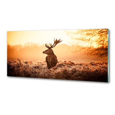 Achterwand keuken Herten zonsopgang