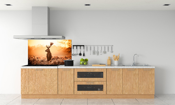 Achterwand keuken Herten zonsopgang