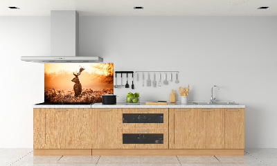 Achterwand keuken Herten zonsopgang
