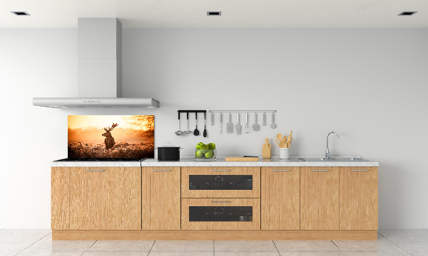 Achterwand keuken Herten zonsopgang
