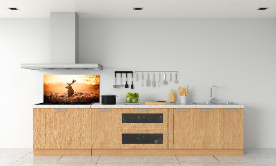 Achterwand keuken Herten zonsopgang