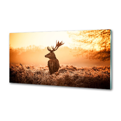 Achterwand keuken Herten zonsopgang