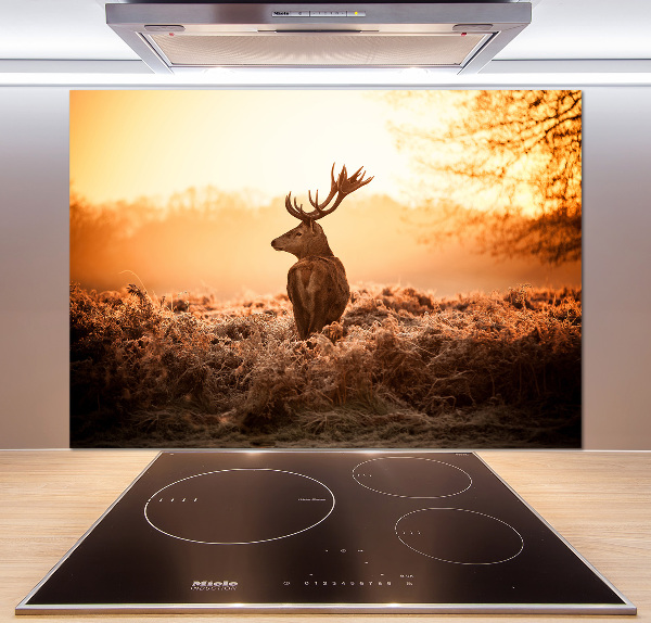 Achterwand keuken Herten zonsopgang
