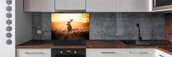 Achterwand keuken Herten zonsopgang
