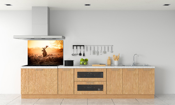 Achterwand keuken Herten zonsopgang