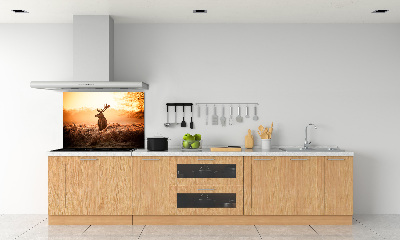 Achterwand keuken Herten zonsopgang