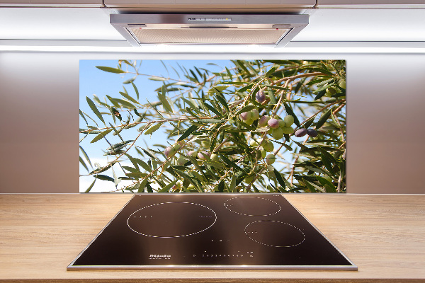 Spatscherm keuken Olijfboom