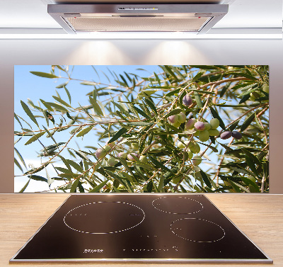 Spatscherm keuken Olijfboom