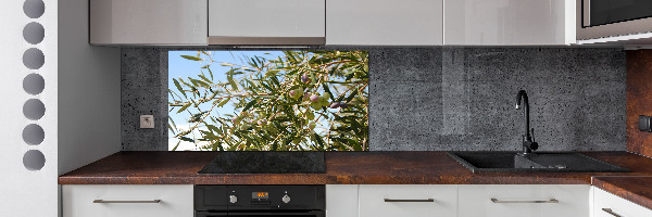 Spatscherm keuken Olijfboom