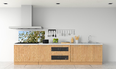 Spatscherm keuken Olijfboom