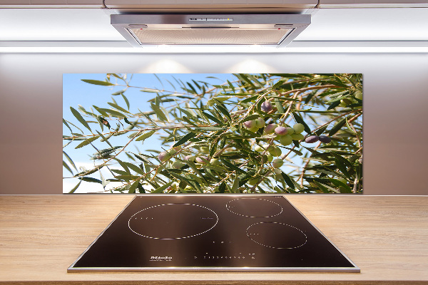 Spatscherm keuken Olijfboom