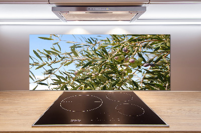 Spatscherm keuken Olijfboom