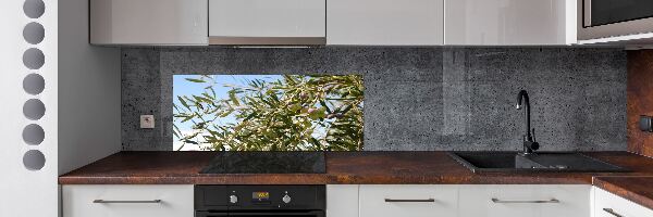 Spatscherm keuken Olijfboom