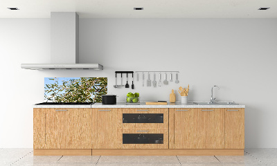 Spatscherm keuken Olijfboom