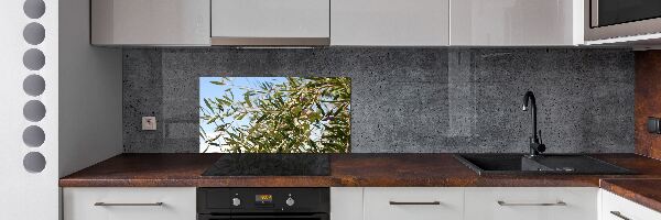 Spatscherm keuken Olijfboom