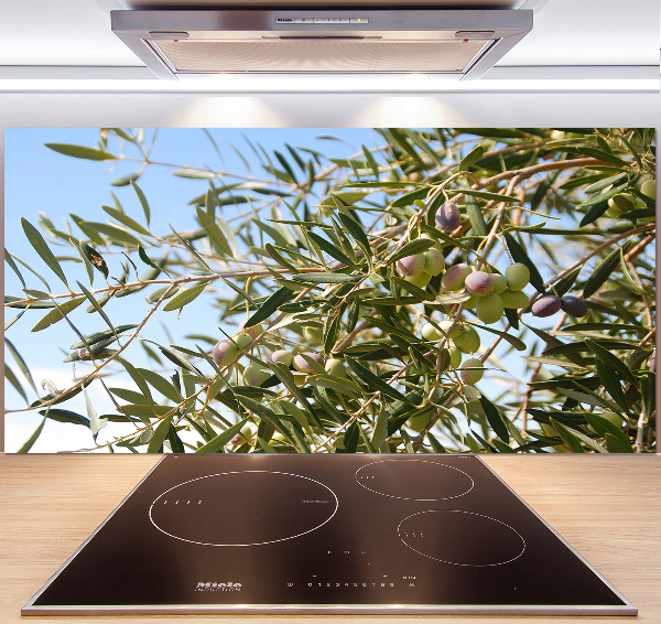 Spatscherm keuken Olijfboom