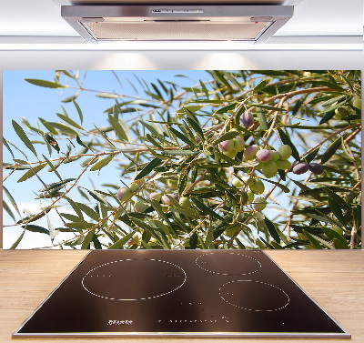 Spatscherm keuken Olijfboom