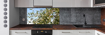 Spatscherm keuken Olijfboom