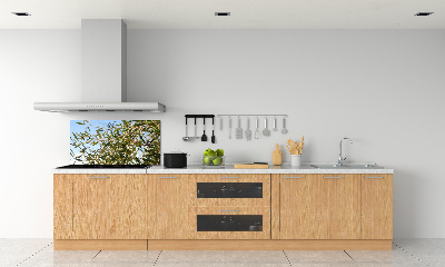 Spatscherm keuken Olijfboom