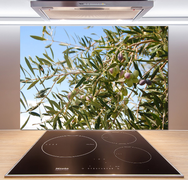Spatscherm keuken Olijfboom