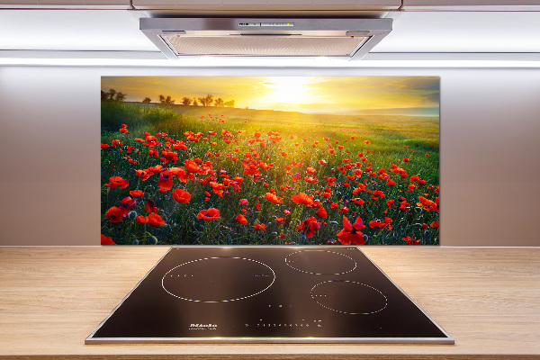 Spatscherm keuken Klaprozenveld