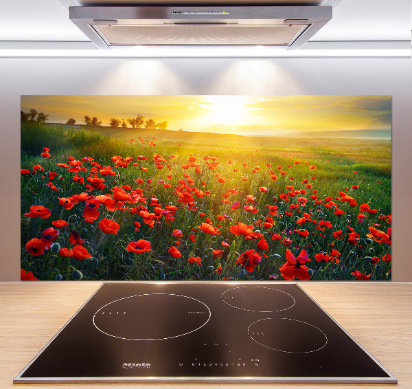 Spatscherm keuken Klaprozenveld