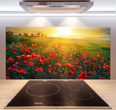 Spatscherm keuken Klaprozenveld