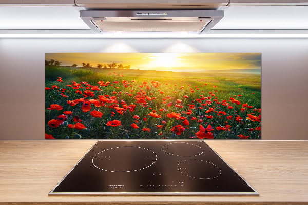 Spatscherm keuken Klaprozenveld