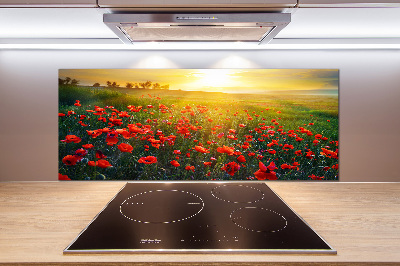 Spatscherm keuken Klaprozenveld