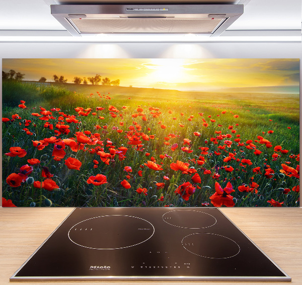 Spatscherm keuken Klaprozenveld