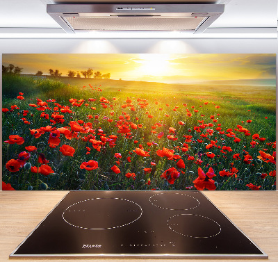 Spatscherm keuken Klaprozenveld