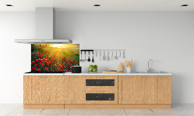 Spatscherm keuken Klaprozenveld
