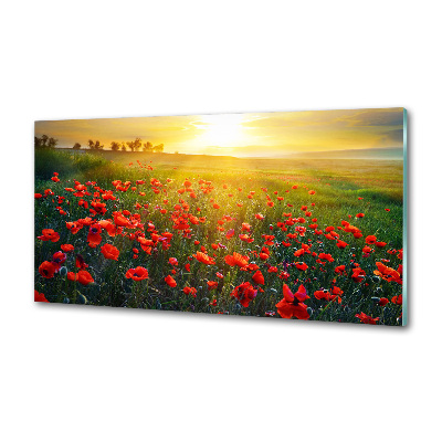 Panel dekor szkło Pole maków