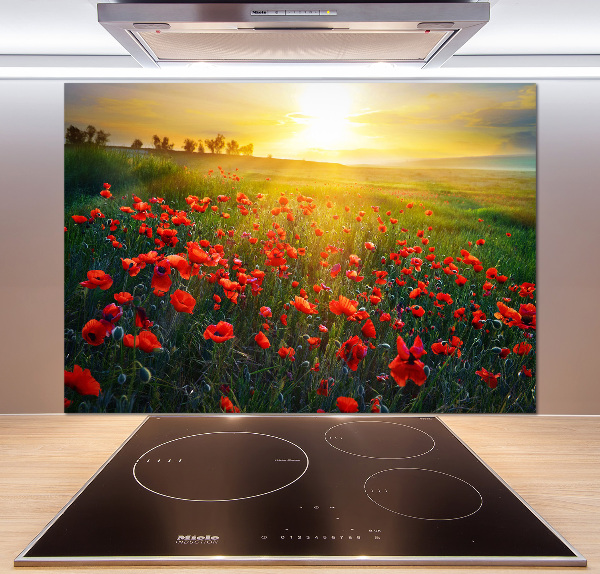 Spatscherm keuken Klaprozenveld
